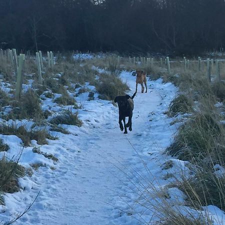 Aviemore Highlands No82 Zewnętrze zdjęcie